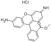 Rhodamine123 CAS 62669-70-9 Rhodamine123 CAS 62669-70-9