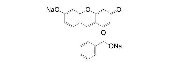Uranine CAS 518-47-8