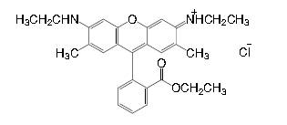 Rhodamine 6G CAS 989-38-8